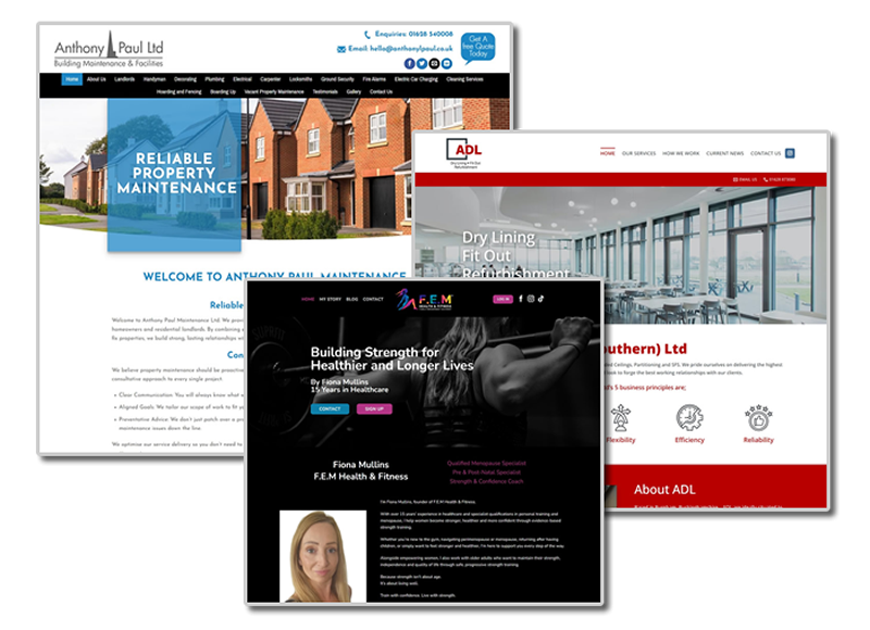 Website Design Portfolio Examples 2 PHD