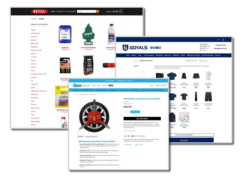 Website Design Portfolio Examples 3 PHD